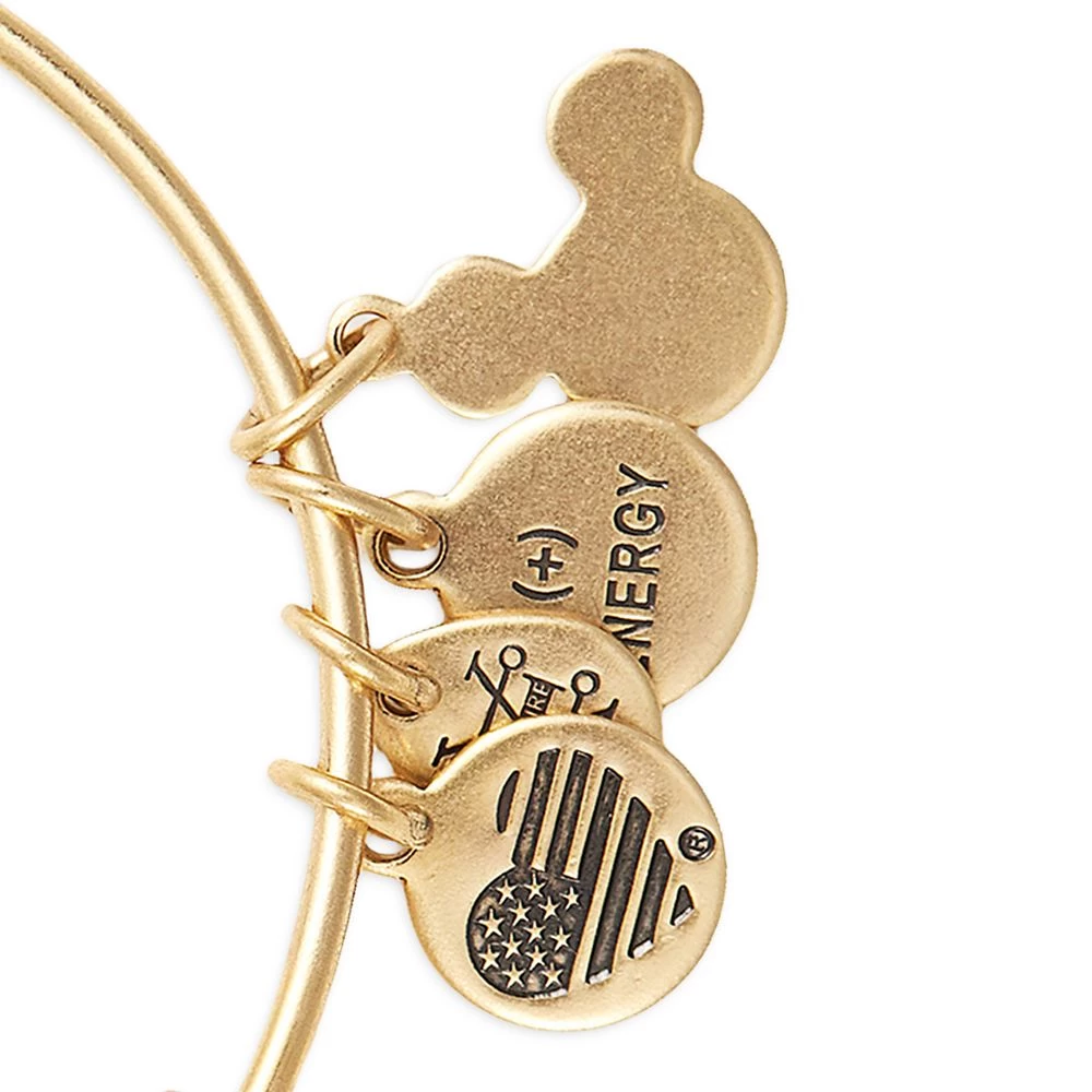 Disney Moana Symbols Bangle By Alex And Ani 3 Disney Moana Symbols Bangle By Alex And Ani - Image 3
