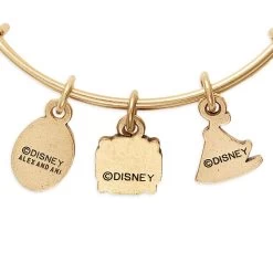 Disney Moana Symbols Bangle By Alex And Ani 10 Disney Moana Symbols Bangle By Alex And Ani -Fashion Clothing Store 2017106755993 4