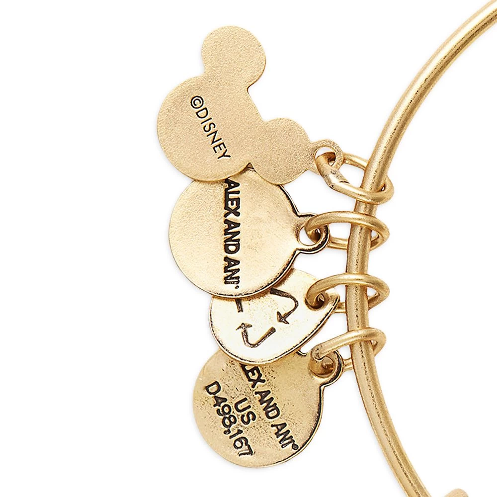 Disney Moana Symbols Bangle By Alex And Ani 6 Disney Moana Symbols Bangle By Alex And Ani - Image 6