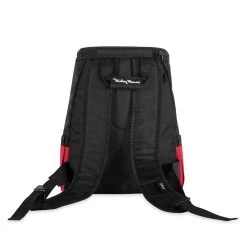 Disney Mickey Mouse Button Cooler Backpack -Fashion Clothing Store 6804058733952 3